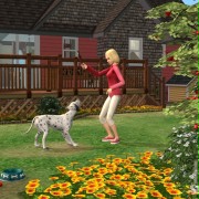 The Sims: Historie ze świata zwierząt - galeria zdjęć - filmweb