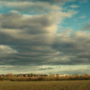 Zgred - galeria zdjęć - filmweb