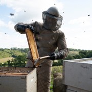 The Beekeeper - galeria zdjęć - filmweb