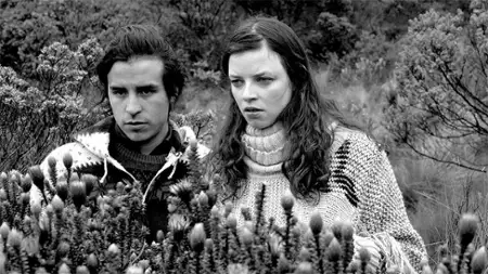 Chuquiragua - galeria zdjęć - filmweb
