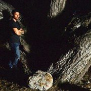 Shooter - galeria zdjęć - filmweb