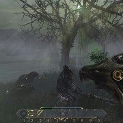 Two Worlds II: Call of the Tenebrae - galeria zdjęć - filmweb
