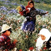Rang-e khoda - galeria zdjęć - filmweb