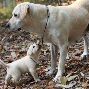 Ma-eum-i Doo-beon-jjae I-ya-gi - galeria zdjęć - filmweb