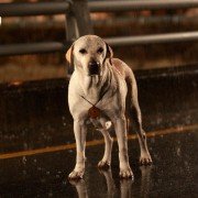 Ma-eum-i Doo-beon-jjae I-ya-gi - galeria zdjęć - filmweb