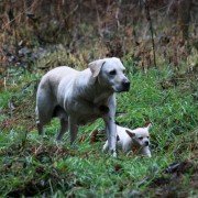 Ma-eum-i Doo-beon-jjae I-ya-gi - galeria zdjęć - filmweb