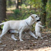 Ma-eum-i Doo-beon-jjae I-ya-gi - galeria zdjęć - filmweb