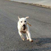 Ma-eum-i Doo-beon-jjae I-ya-gi - galeria zdjęć - filmweb