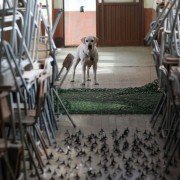 Ma-eum-i Doo-beon-jjae I-ya-gi - galeria zdjęć - filmweb