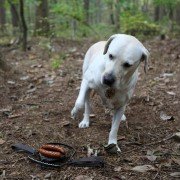 Ma-eum-i Doo-beon-jjae I-ya-gi - galeria zdjęć - filmweb