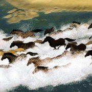 Spirit: Stallion of the Cimarron - galeria zdjęć - filmweb