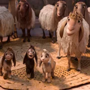 David - galeria zdjęć - filmweb