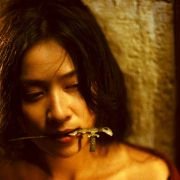 Dung che sai duk redux - galeria zdjęć - filmweb