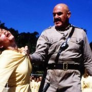 Niezupełnie Hollywood - galeria zdjęć - filmweb