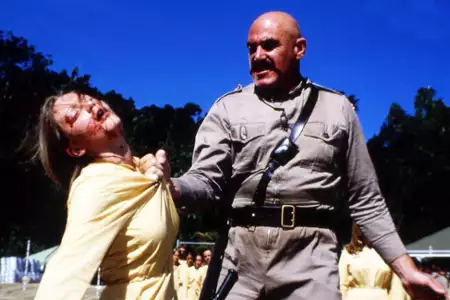 Niezupełnie Hollywood - galeria zdjęć - filmweb