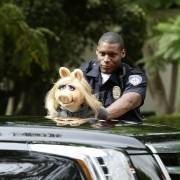 Policjant