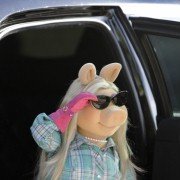 The Muppets - galeria zdjęć - filmweb