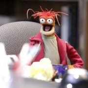 The Muppets - galeria zdjęć - filmweb