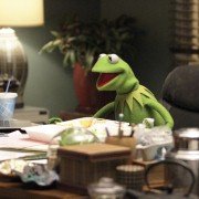 The Muppets - galeria zdjęć - filmweb