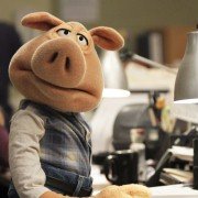 The Muppets - galeria zdjęć - filmweb