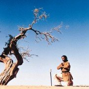 The Warrior - galeria zdjęć - filmweb