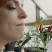 Nobody's Looking - galeria zdjęć - filmweb