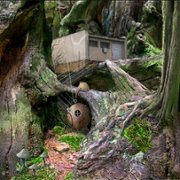 Samorost - galeria zdjęć - filmweb