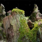 Samorost - galeria zdjęć - filmweb