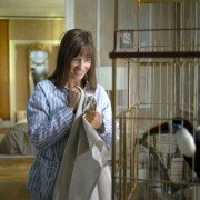 W pogoni za nieszczęściem - galeria zdjęć - filmweb