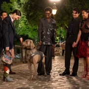 Emily in Paris - galeria zdjęć - filmweb