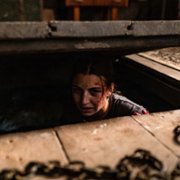 W lesie dziś nie zaśnie nikt - galeria zdjęć - filmweb