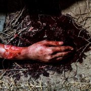 W lesie dziś nie zaśnie nikt - galeria zdjęć - filmweb