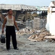Martwa natura - galeria zdjęć - filmweb