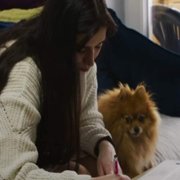 Ślub od pierwszego wejrzenia - galeria zdjęć - filmweb
