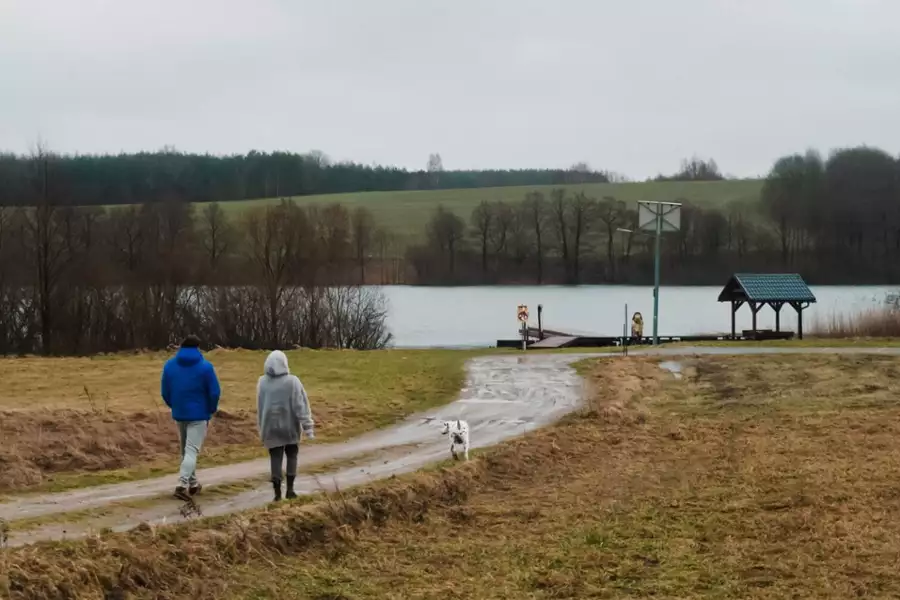 Ślub od pierwszego wejrzenia - galeria zdjęć - filmweb