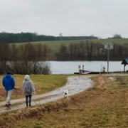 Ślub od pierwszego wejrzenia - galeria zdjęć - filmweb
