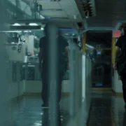 Black Rabbit - galeria zdjęć - filmweb