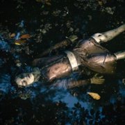 La influencia - galeria zdjęć - filmweb