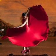 Flamenco, flamenco - galeria zdjęć - filmweb