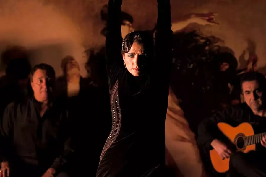 Flamenco, flamenco - galeria zdjęć - filmweb