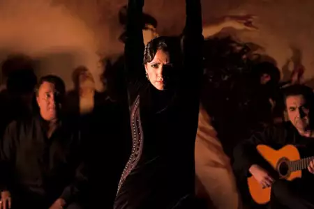 Flamenco, flamenco - galeria zdjęć - filmweb