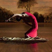 Flamenco, flamenco - galeria zdjęć - filmweb