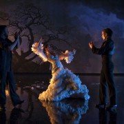 Flamenco, flamenco - galeria zdjęć - filmweb