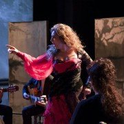 Flamenco, flamenco - galeria zdjęć - filmweb