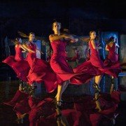 Flamenco, flamenco - galeria zdjęć - filmweb