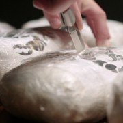 Drug Lords - galeria zdjęć - filmweb