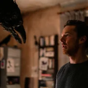 Czas kruka - galeria zdjęć - filmweb