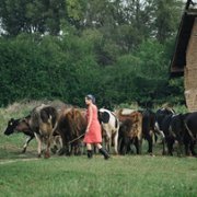 Za horyzontem - galeria zdjęć - filmweb