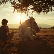 Le milieu de l'horizon - galeria zdjęć - filmweb