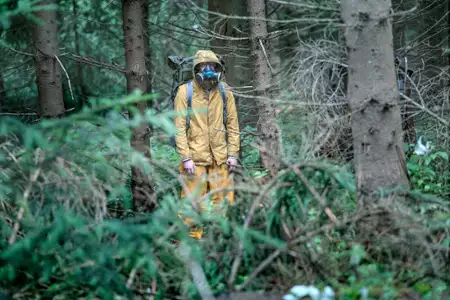 The Rain - galeria zdjęć - filmweb